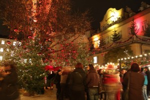 La magia del Bosco Incantato di Bolzano